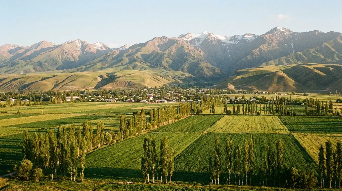 Talas